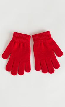 Boys Dıno 2in1 Gloves