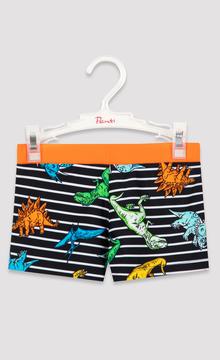 Boys Colorful Dino Trunk Suit