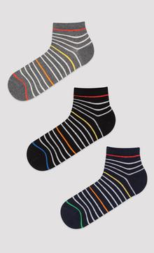 Stripe Colour 3In1 Liner Socks